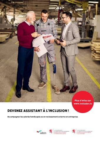 Affiche Assistant Inclusion FR2