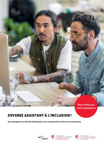 Affiche Assistant Inclusion FR3